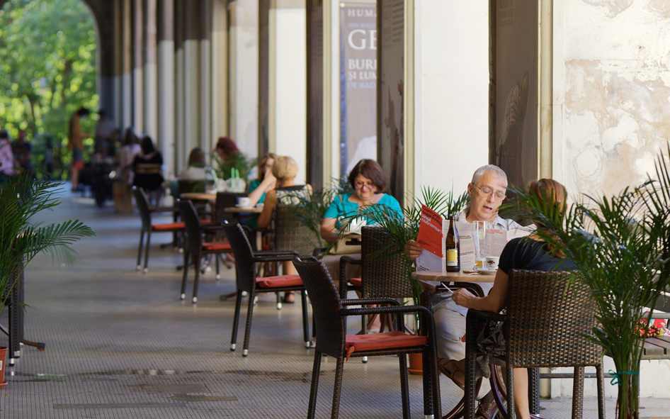 Técnicas de Plantio e Agricultura Horta Orgânica